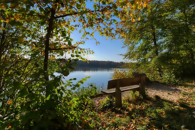 稳定的竞技 稳定的竞技