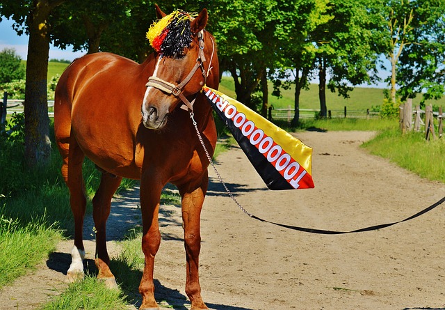 潜力发掘 潜力发掘