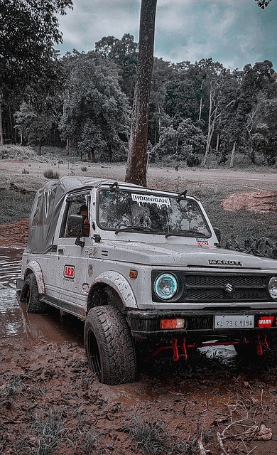 的队员们 的队员们