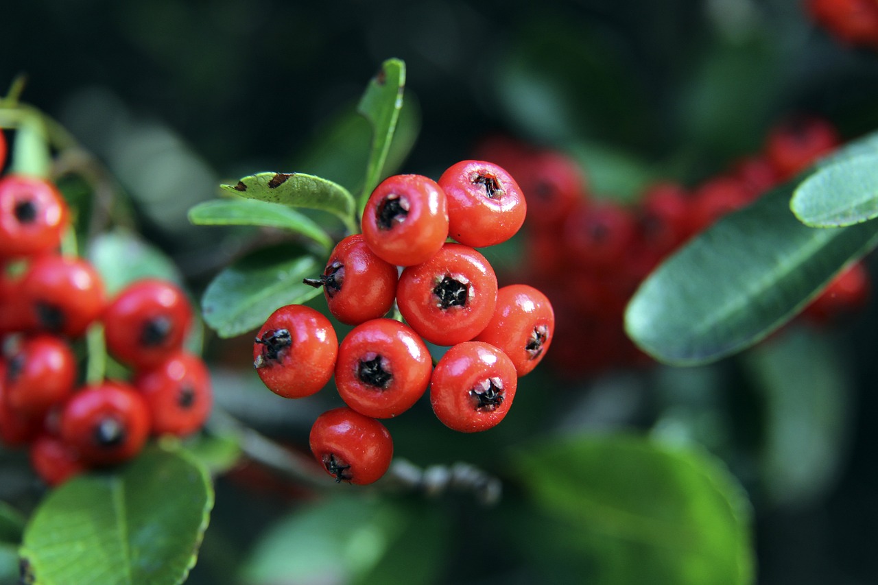 看见更多精 看见更多精