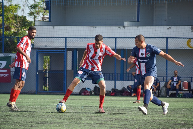 懈努力以及 懈努力以及